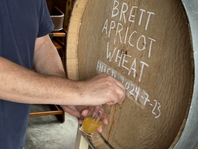 shows a hand tapping a beer from a large wooden barrel marked Brett Apricot Wheat.