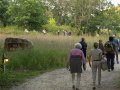 Audience members on the path to the Hill Theatre at American Players.