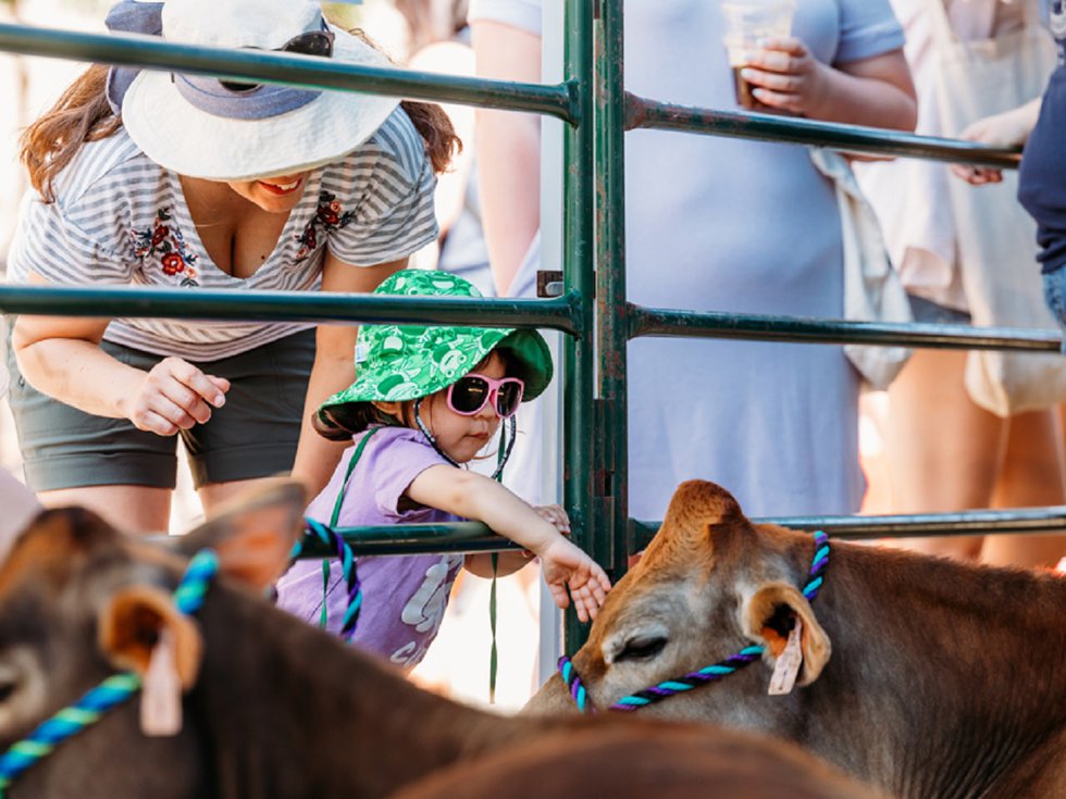 Visitors at a past Cows on the Concourse.