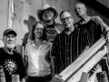 The five members of Dry River Goats on a staircase.