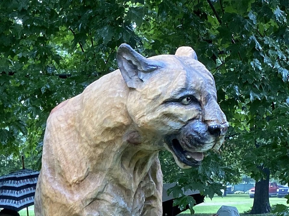 “Terrible Beauty” by Oldrich Pliska, a sculputure created during the 2024 Harry Whitehorse International Wood Sculpture Festival.