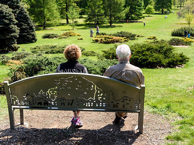 Cover-Arb-Art-crJeffMillerUWMadison-04192018.jpg