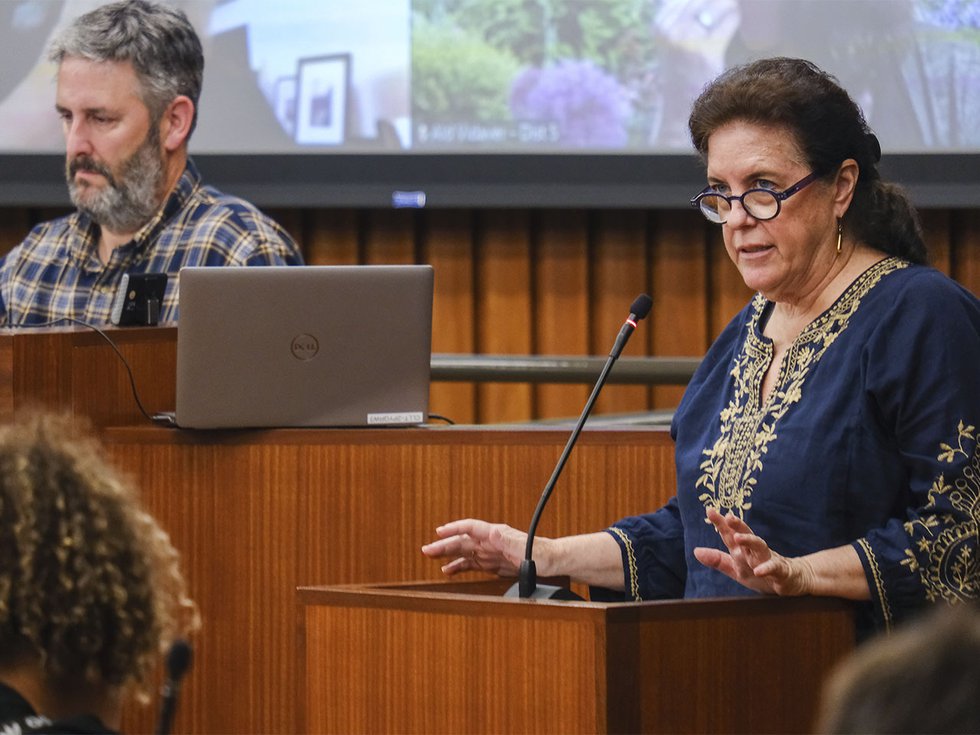 News-Referendum-Public-Committee-Mary-Bottari_crLiamBeran-08072024.jpg