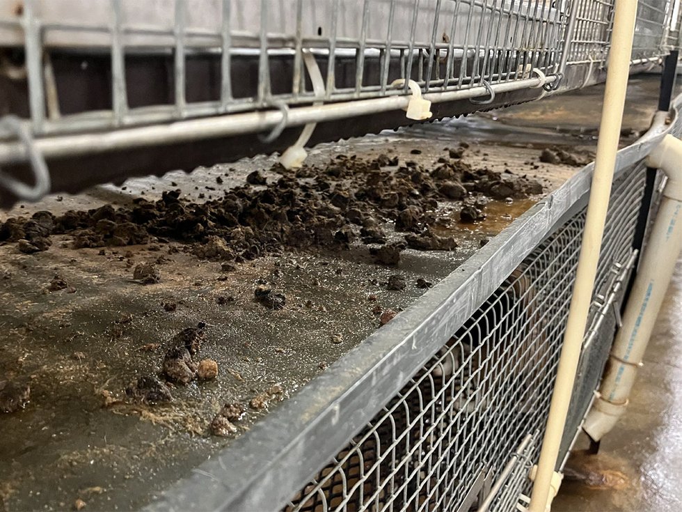 Ridglan Farms photos from inspection report