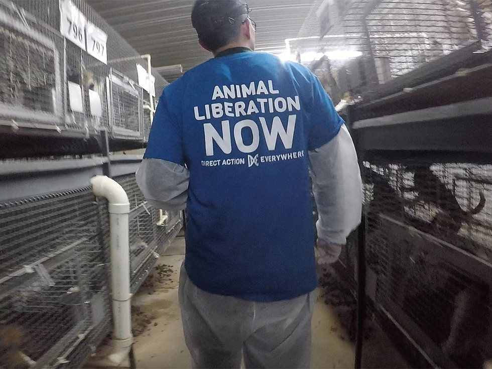News-Ridglan-Farms-Wayne-Hsiung_crDirectActionEverywhere-03082024.jpg