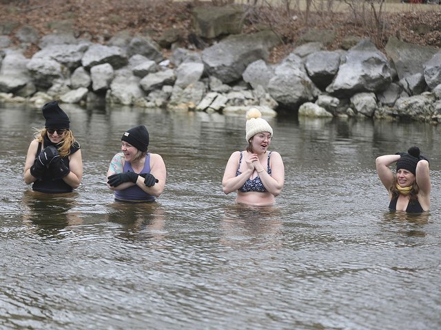 The Foxie Dippers submerge into the Yahara River.